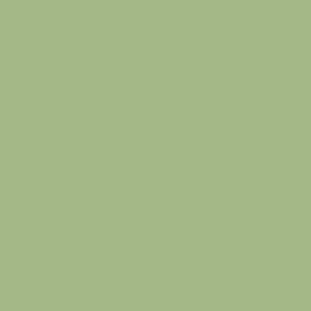 Boysen Healthy Home Odorless Antibacterial Latex Paint 4 Liter (Gallon) All Colors Available